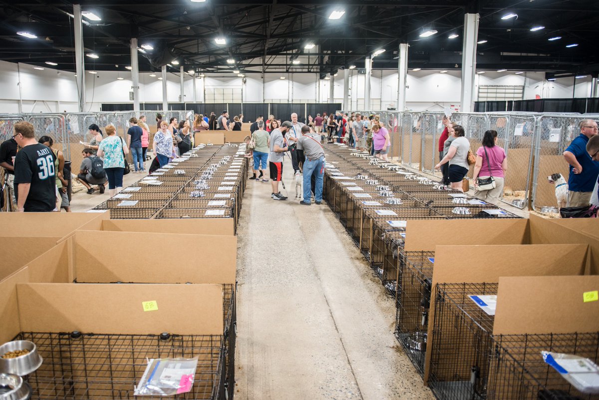 BrandywineSPCA's tweet photo. Ready for the big -- make that Mega – day! Last night’s VIP Night was beautiful & just the tip of hopefully hundreds of adoptions. Stop by or RT for the 1000+ pets waiting for their family to arrive. $25 adoptions, 10a-6p today & Sunday. https://t.co/x1GiTRQK27 #tristatemega https://t.co/clLqF8G1sX