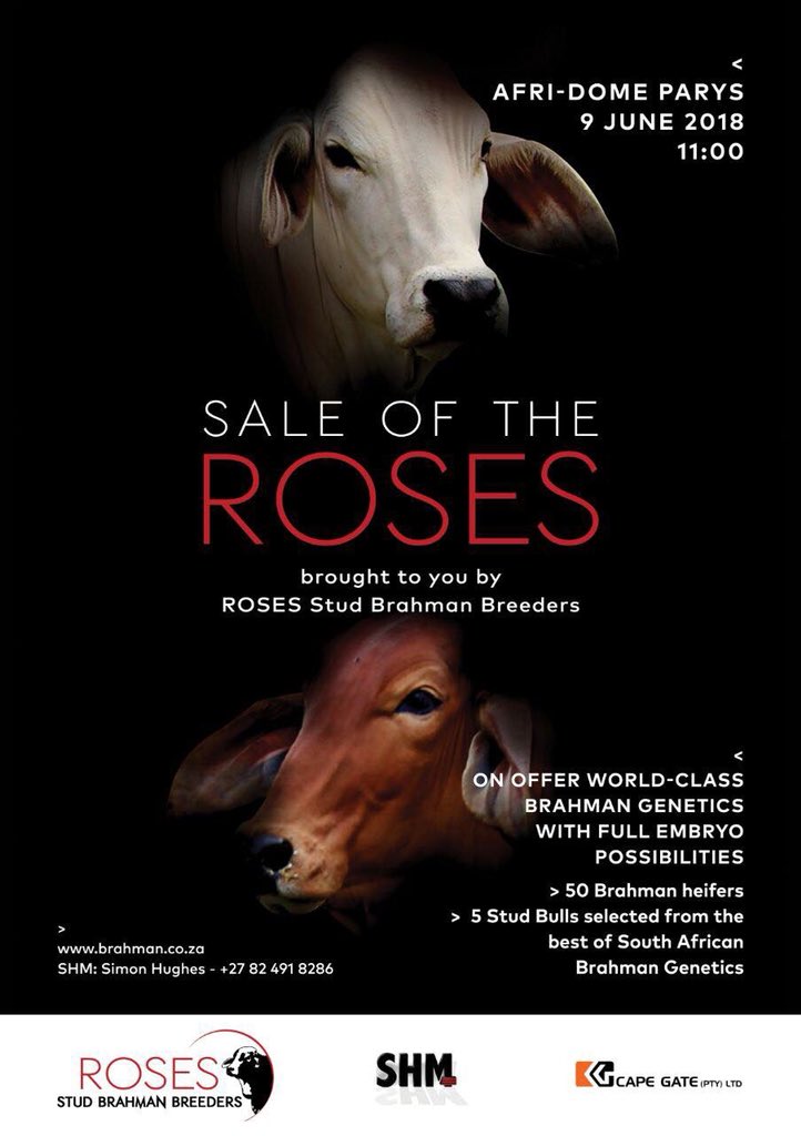 RATBrahmans's tweet photo. Do not miss this one!!! https://t.co/LnVbGm7saq