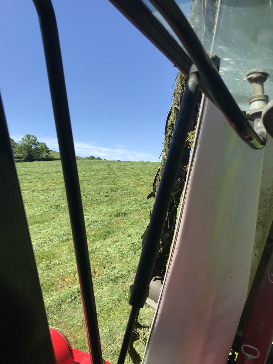 Vince_Rookery's tweet photo. Weather for it 🌿🌱☀️✅😎#pasture #killinggrass #forage #Silage18 https://t.co/3uq9RSDTeC