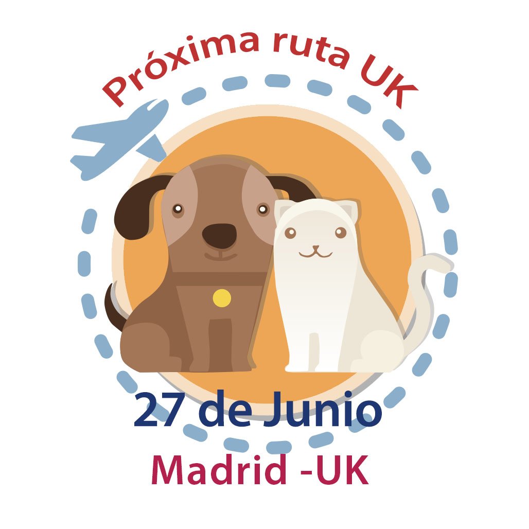 Traveldog Spain (@traveldogspain) on Twitter photo 