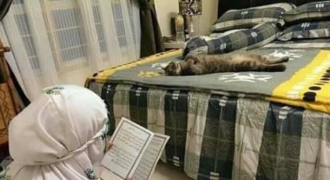 ulat_bulu_bulu's tweet photo. Akibat kerap mencuri ikan di sinki, pemuda ini derita ketika sakaratul meowt. https://t.co/pknCmGAdHO