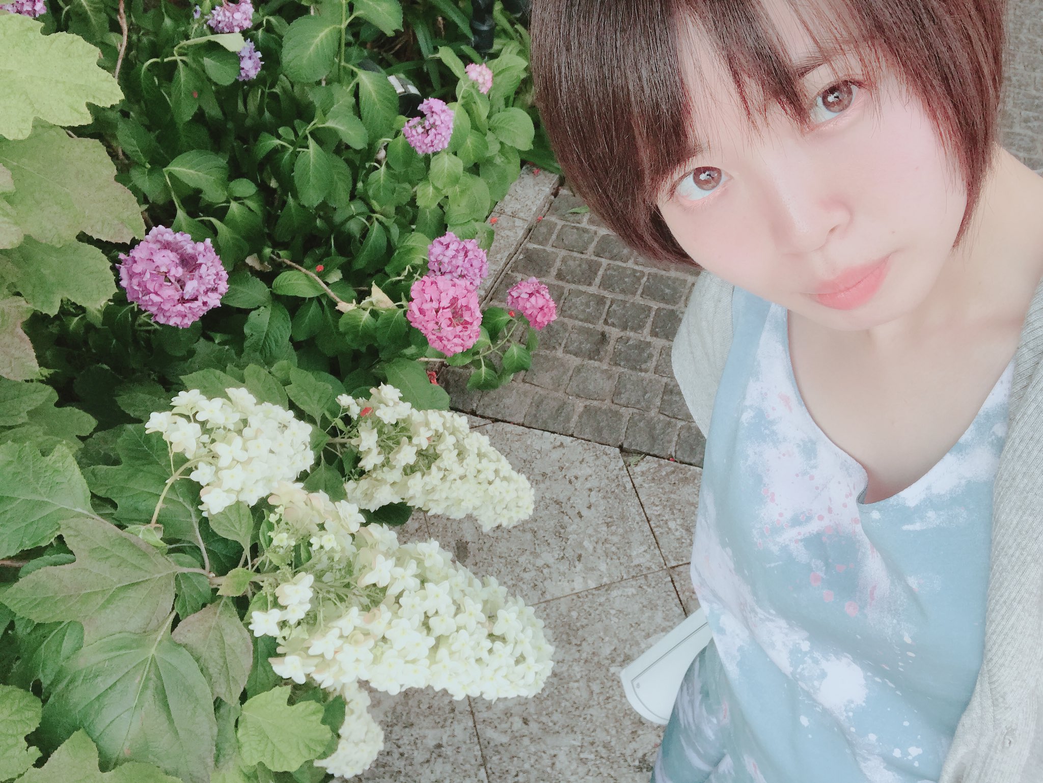 Oto Yuuki 悠木 音 ゆうき おと 柏葉紫陽花 カシワバアジサイ 花言葉 皆を引きつける魅力 元気な女性 汚れなき心 円錐状の紫陽花 八重咲きの真っ白な花たちが かわいすぎる 好き T Co Waophfw2jn Twitter Oto Yuuki 悠木 音 ゆうき おと 柏葉紫陽花 カシワバアジサイ 花言葉 皆を引きつける魅力 元気な女性 汚れなき心 円錐状の紫陽花 八重咲きの真っ白な花たちが かわいすぎる 好き T Co Waophfw2jn Twitter