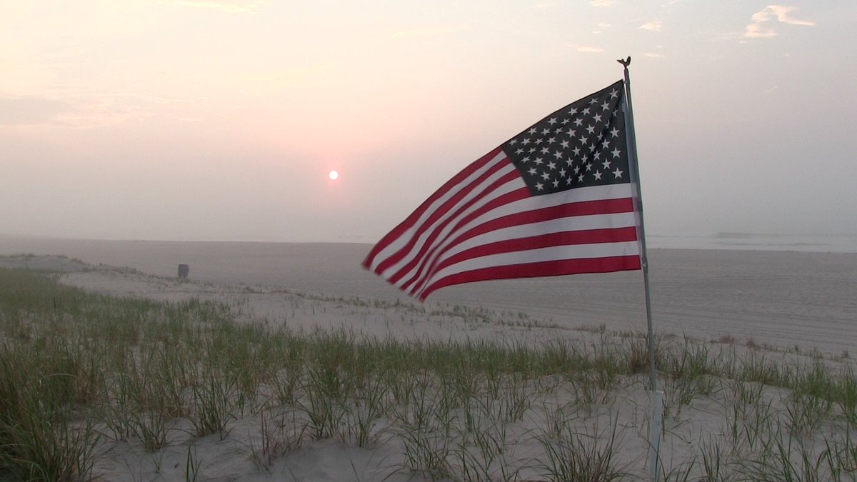 jack bushko tweet media