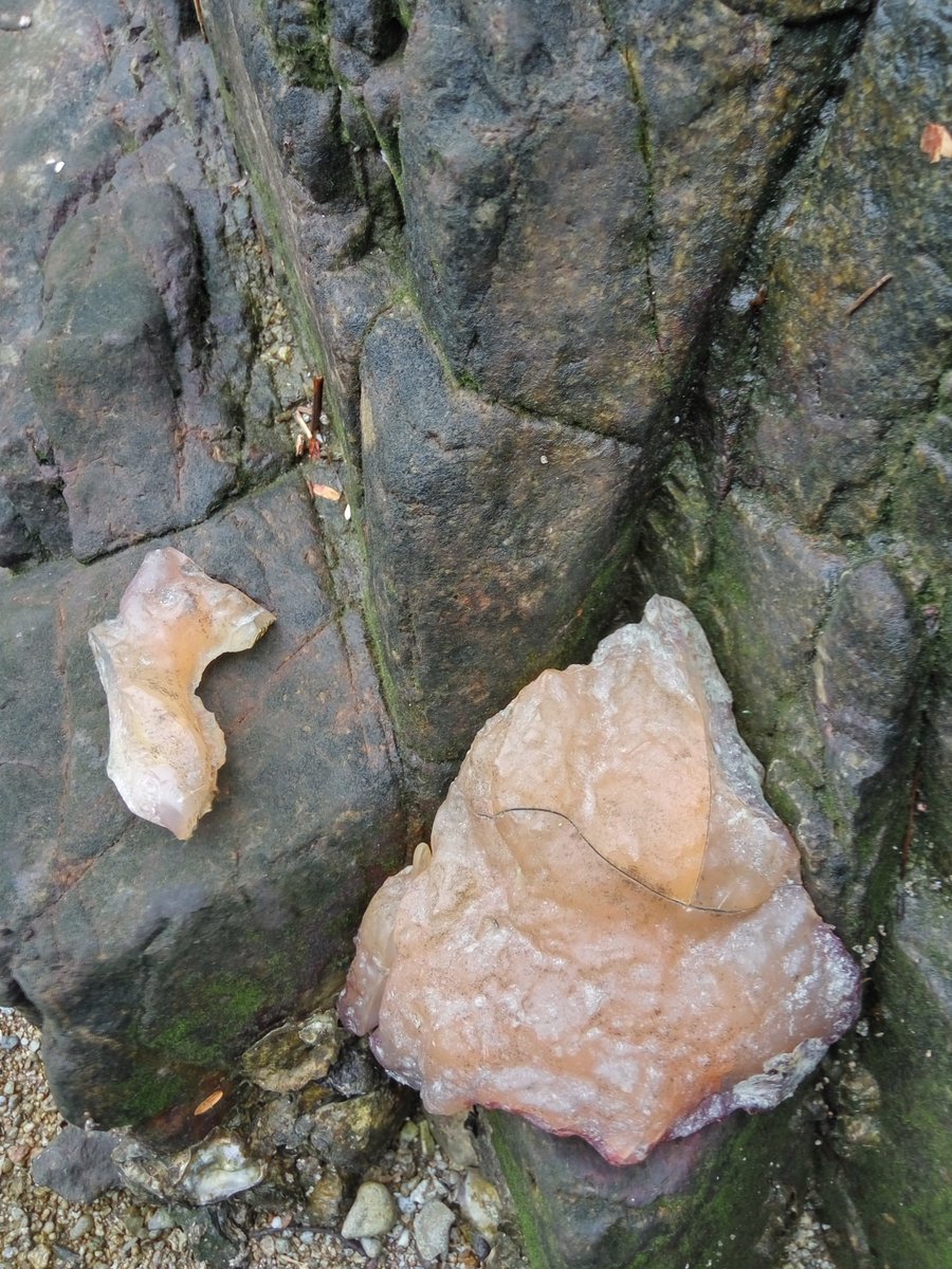 YueNikke's tweet photo. @tyo_micro experts judged its a rare resin fossil or amber ,but physical data,chemical testing ssNMR, Infra-Red, Raman spectra,GC-MS analysis shows it unusual &amp; unexplained,searching somebody interested to go on exploring . https://t.co/UbOnC8SA5H