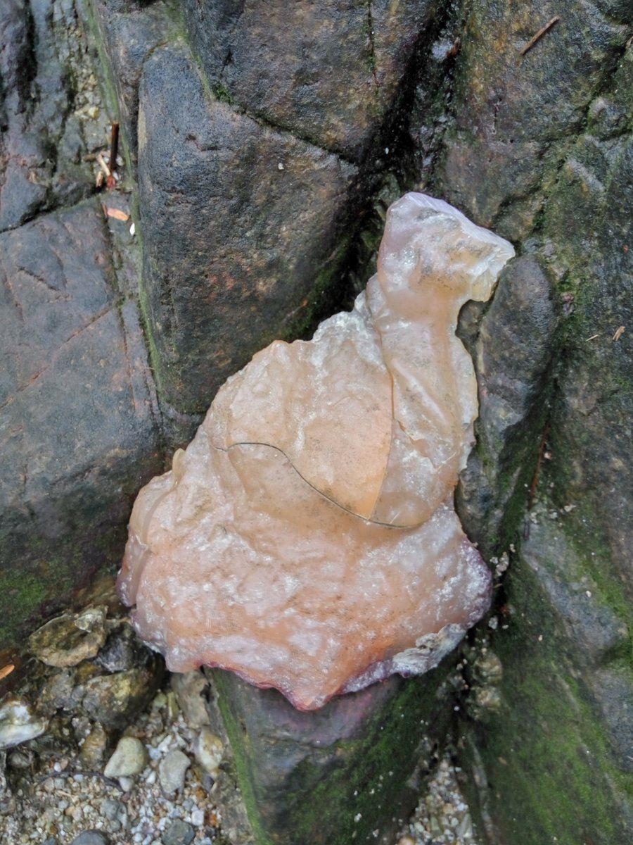 YueNikke's tweet photo. @tyo_micro experts judged its a rare resin fossil or amber ,but physical data,chemical testing ssNMR, Infra-Red, Raman spectra,GC-MS analysis shows it unusual &amp; unexplained,searching somebody interested to go on exploring . https://t.co/UbOnC8SA5H
