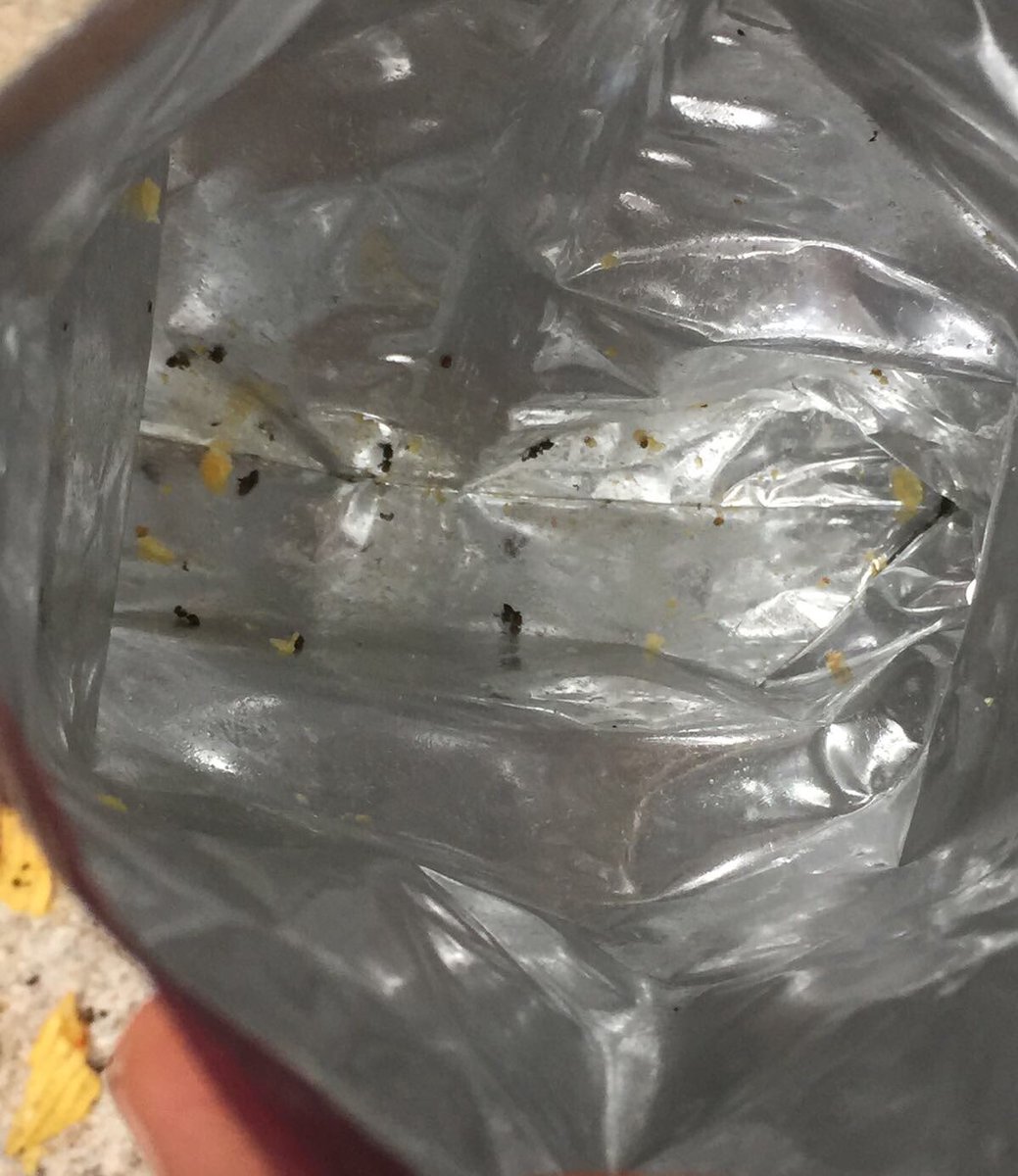 fizzicato's tweet photo. Señores de @pepsi_es esto es lo que hemos encontrado en una bolsa de Rufles que se estaba comiendo mi hijo. No sabía que condimentabais así las patatas. Evidentemente iremos a @consumidores a dar cuenta de ello. Retuit, porfa. https://t.co/QzsjUcvGsq