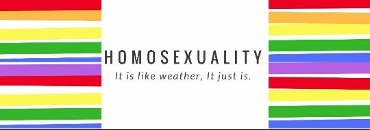 Chavos Gay GT tweet media