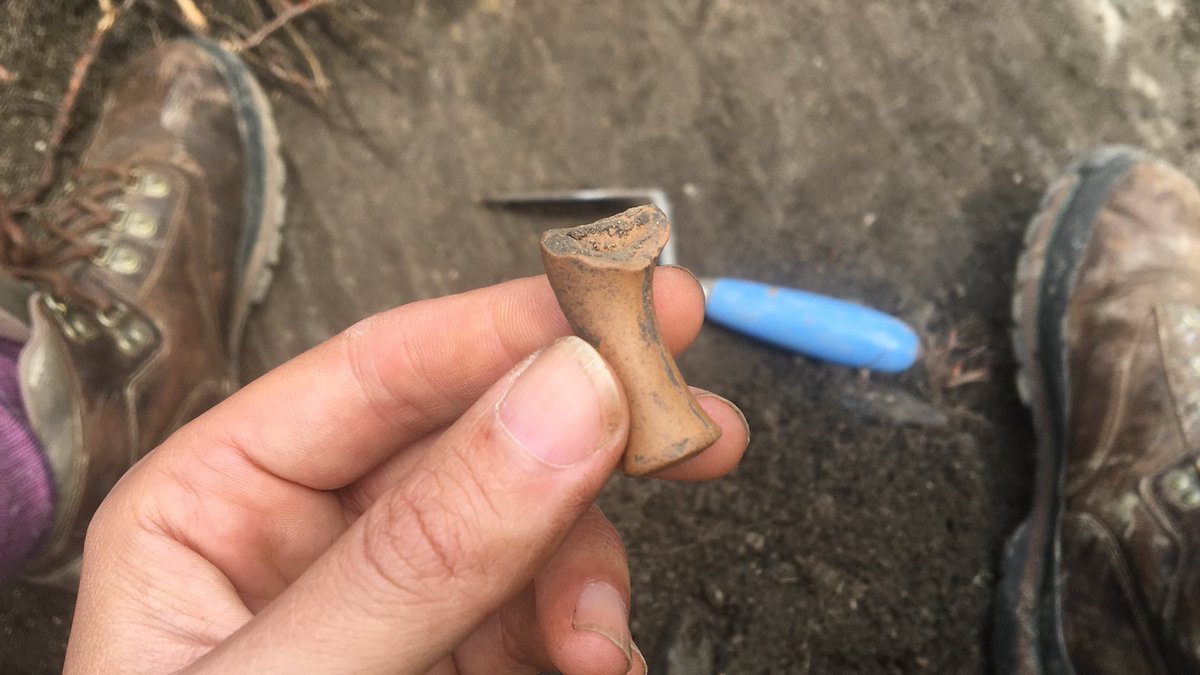 muckymaiya's tweet photo. White clay pipes made from imported clay were popular in the 19th century, but the #Shakers soon started manufacturing their own from the cheaper, local clay #DiggingDarrow https://t.co/toruNoV0W8