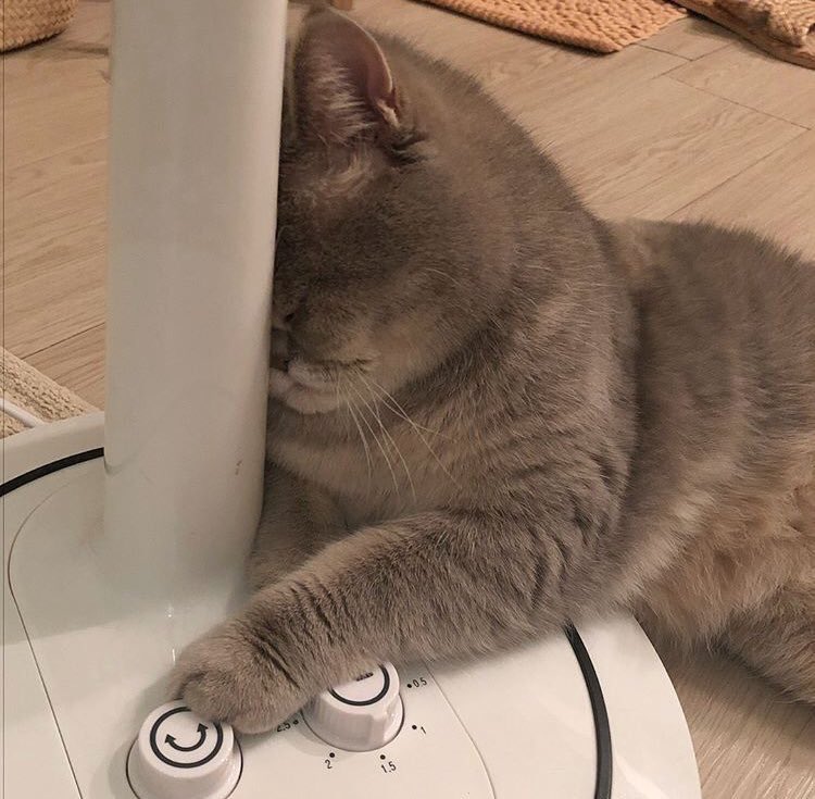 i’ve been thinking about these for hours i miss siyeon so much IM STILL SO SAD I JUST WANNA SEE HER WHATBHE FUCK!!! CAN SHE PLEAS