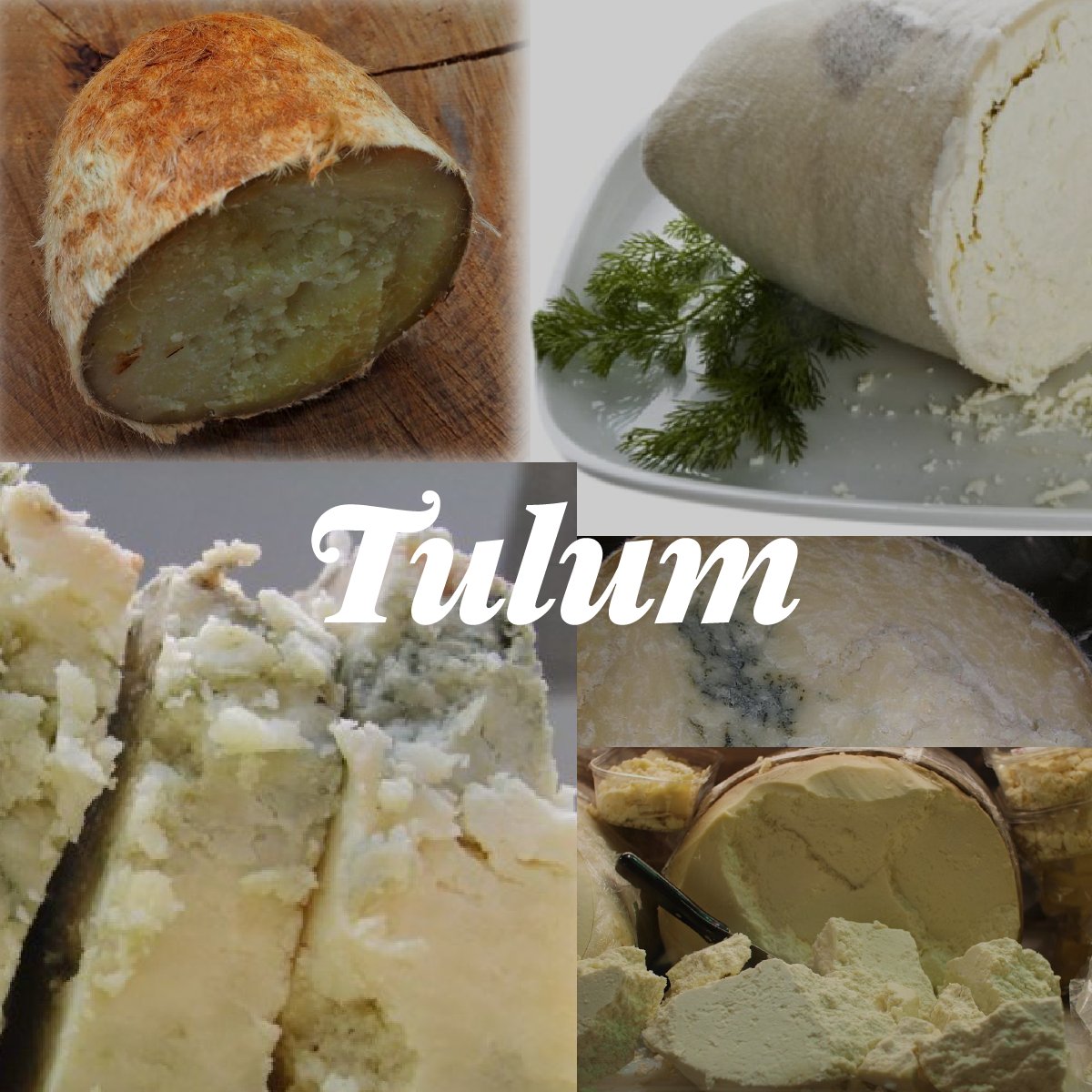 PicadasChe's tweet photo. El Tulum es elaborado tradicionalmente por los pastores para hacer acopio de reservas durante el invierno. Tradicionalmente, se elabora con leche cruda de oveja que se pone a madurar en bolsas elaboradas con piel de cabra (denominadas tulum) de ahí su nombre. #chepicadas ;) https://t.co/IseSOMz0v7