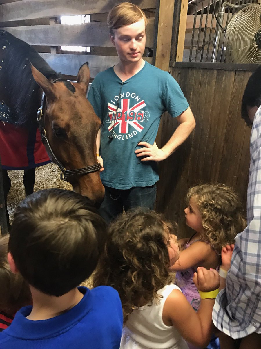 Devon Horse Show tweet media