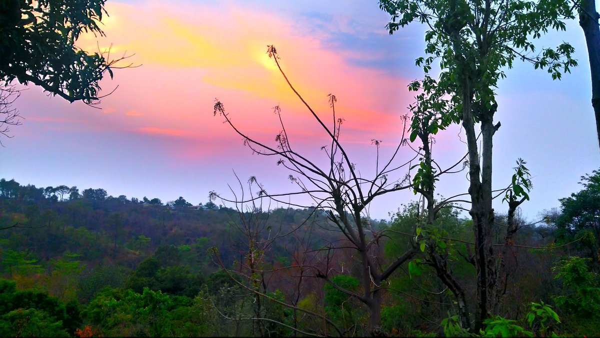SitInHimchal's tweet photo. If you Have some 📸photos regarding the 🌄#beauty of #himachal, give that 🌅pics or photos to us we will post that on our page wall. 🙏🙏Thanks🙏🙏
#naturephotography #pictureofday #share #nature #sky #yellowish #blue #green #around #you #beauty of #himachal #Himachal #Pradesh https://t.co/RvByMLUCoJ