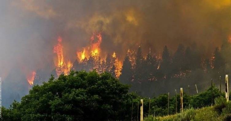 Thousands of acres ablaze in Colorado, New Mexico bit.ly/2sqt7Bt https://t.co/Qvyk5kirjO