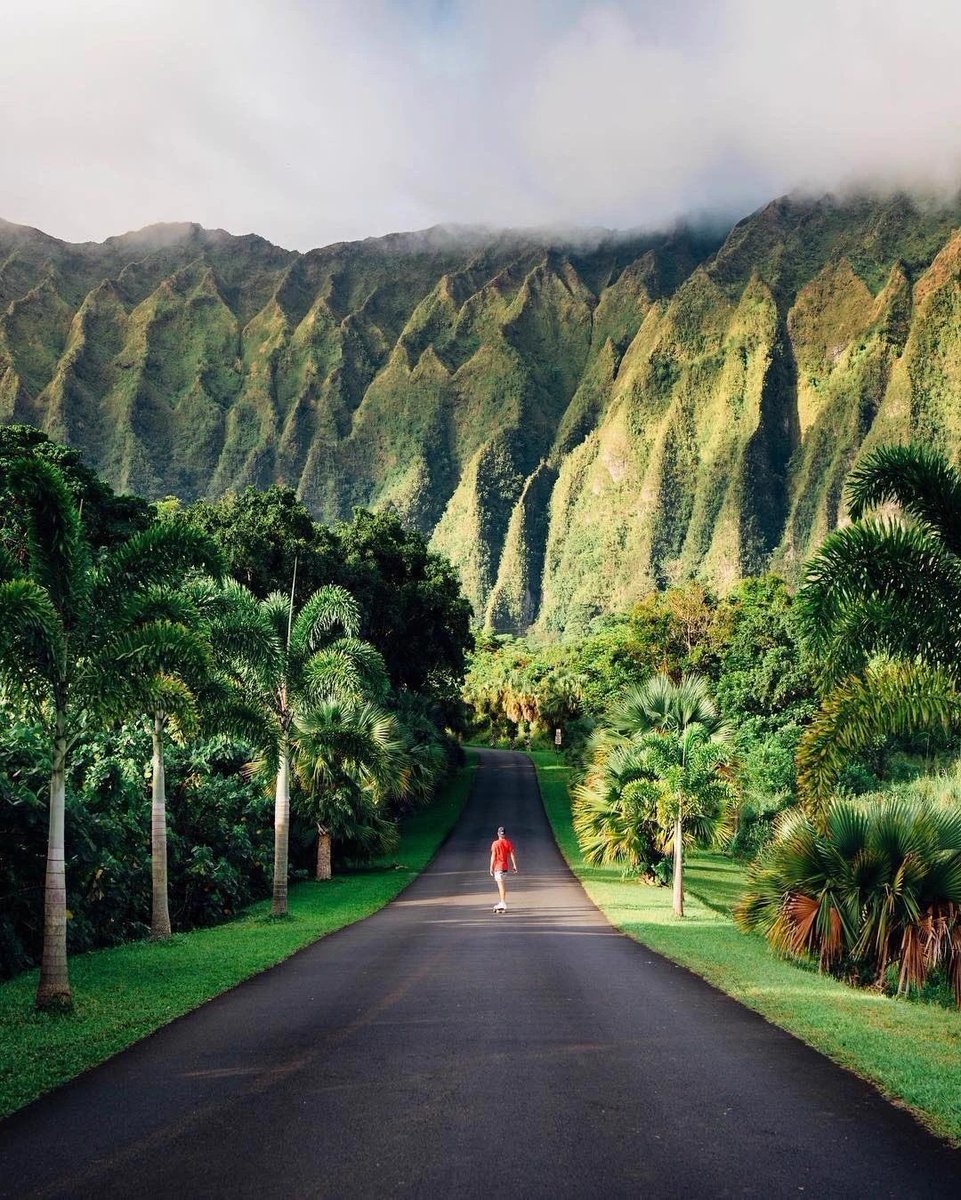 CameraTrickTips's tweet image. Oahu, Hawaii