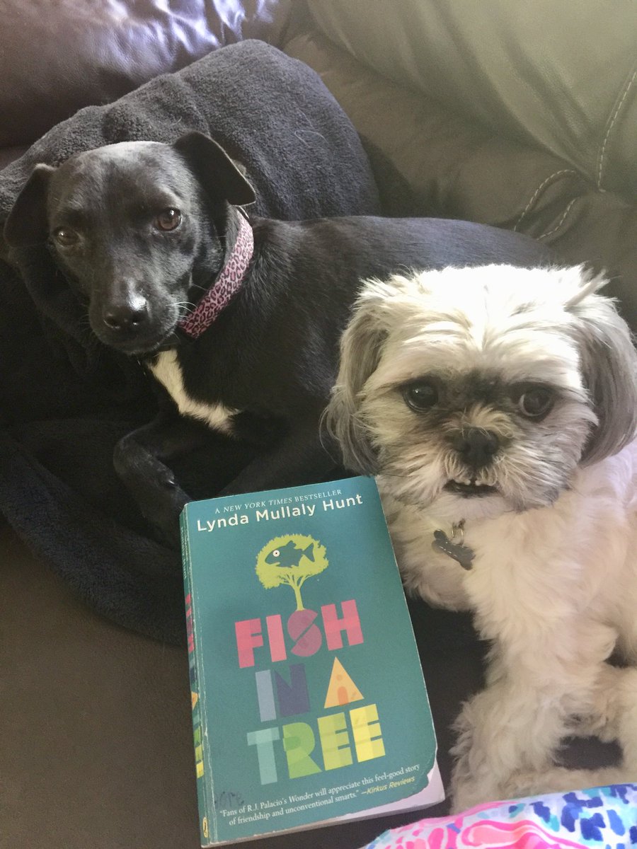 MsGore_'s tweet photo. Good morning! It’s Ms. Gore 😄 I’m so excited for our chat! #EMeadowReads https://t.co/cdH96sI7X9