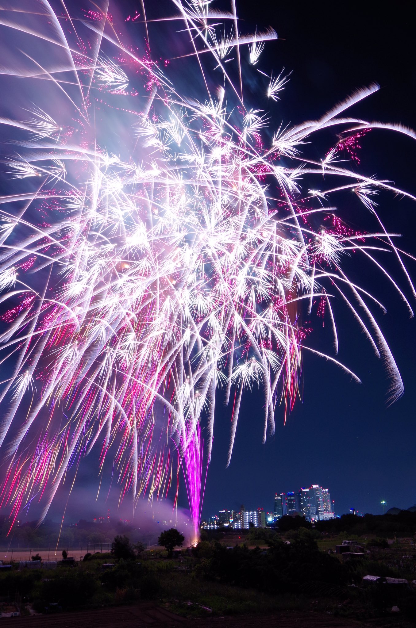 チキンハート Sparks 18年最初の花火撮影 初挑戦の枇杷島にて 縦写真 名駅高層ビルと絡めて 尾張西枇杷島まつり 花火 Fireworks 一眼レフ Pentax K30 キリトリセカイ 縦構図 ファインダー越しの私の世界 写真好きな人と繋がり