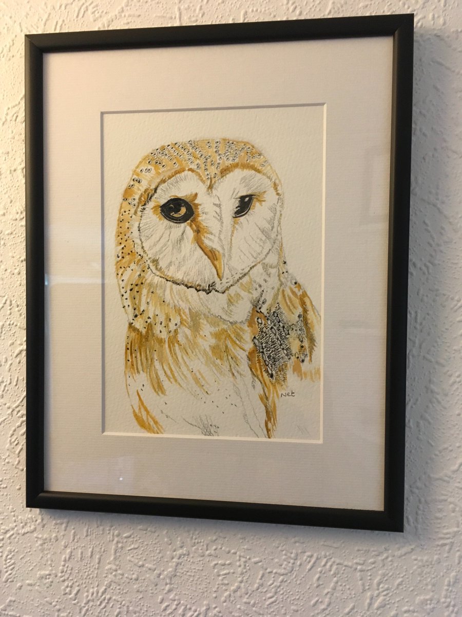 #artbynet @artbynet #barnowlpainting framed versions of my work only available at markets @salisburymkts #salisburyartisanmarket @lovesalisbury #artist #ArtistOnTwitter 😊