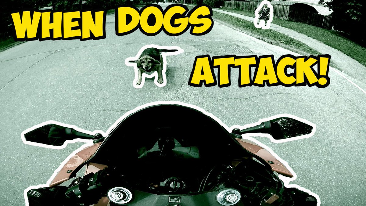 MotoMooseOttawa's tweet photo. New video is up on the #YoutubeChannel check it out here!
https://t.co/k5UliwJTEk
#Ottawa #Canada #Canadian #Motovlogger #RideVideo #Follow #Honda #CBR600RR #MotoMoose #Youtube #Subscribe #DogAttack #AnimalAttack #RideVideo #Video https://t.co/c9QRcsNJWo