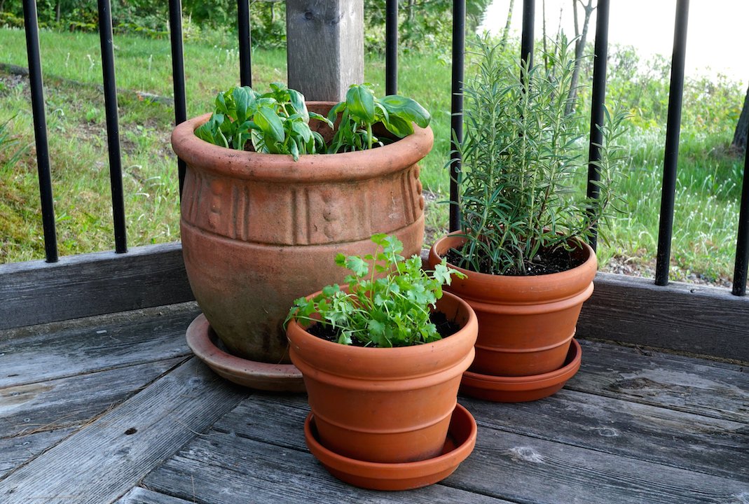 WATCfood's tweet photo. 3 easy ideas for SUMMER GARDENING AT THE COTTAGE!
Herb Containers
Deck & Dock Boxes
Hosta Takeover
https://t.co/jXwBEx0IOV
straight to the VIDEO https://t.co/uVgBwhAcO8
#gardening #weekendatthecottage #summergardening #herbs #dockbox #hostas https://t.co/jj2PCNCrzC