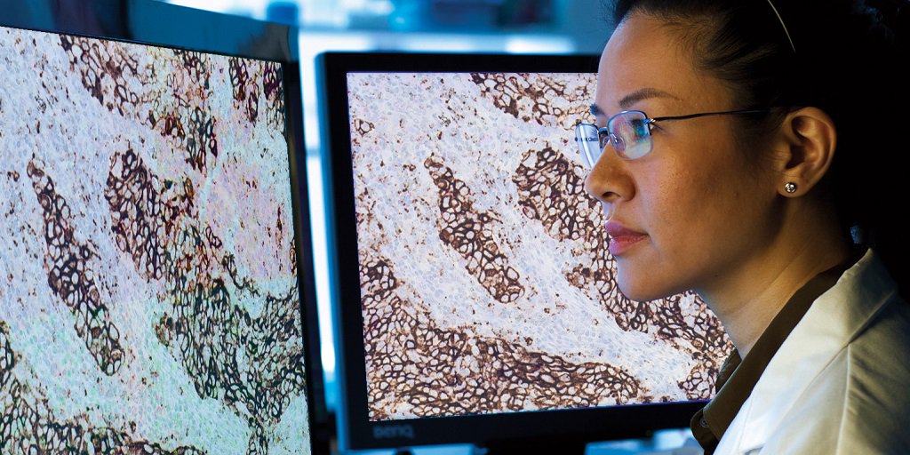 Roche's tweet photo. The discovery of a protein that hides tumour cells from our immune system is helping us to come up with new approaches to fight cancer: https://t.co/hPO12RjXlF #ImmunoOncology #ASCO18 https://t.co/s6Sa8wS2zq