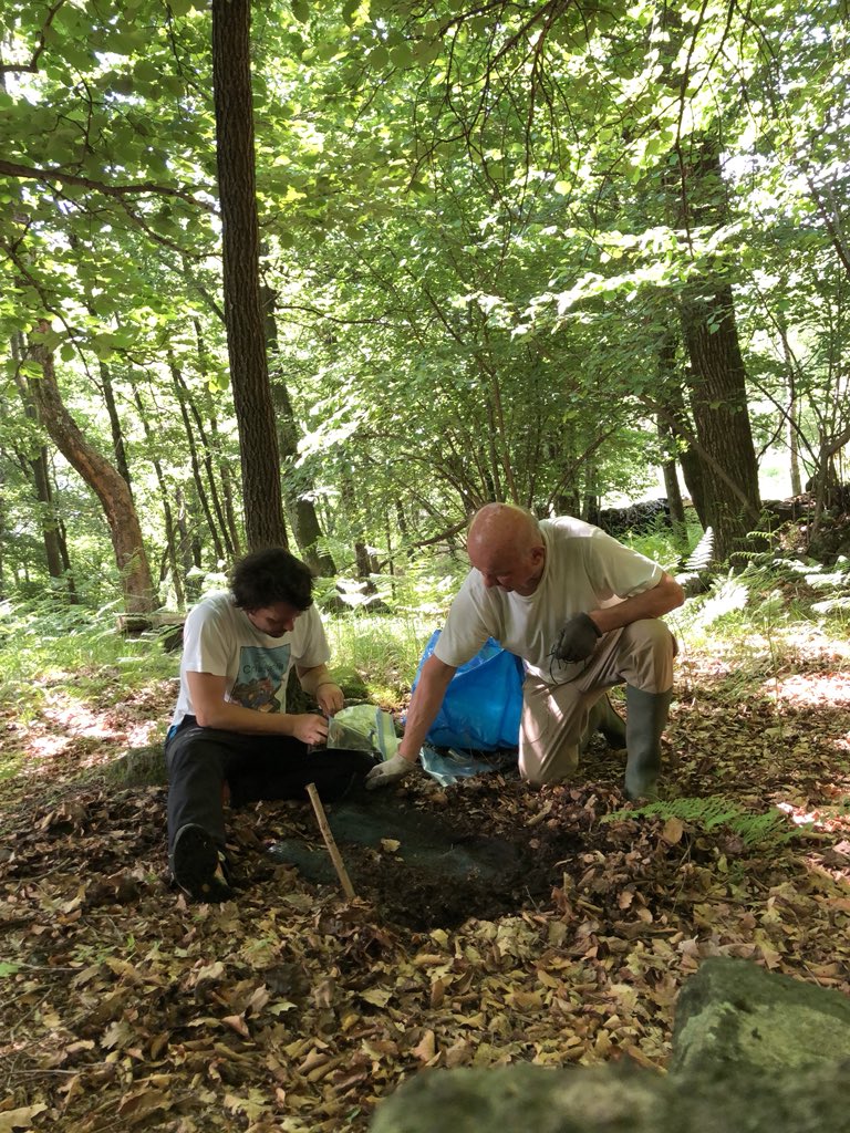 lultimoalbero's tweet photo. one year gone - a great day in the field - 1st harvest of wood blocks in the 🇮🇹 Alpine node for #globalrot project - signs of fungal and insect activity - again thanks dad for helping out #letsrot https://t.co/Y1HvBH65J6