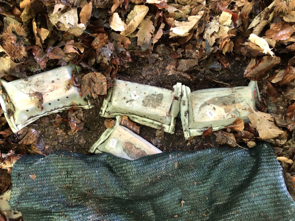 lultimoalbero's tweet photo. one year gone - a great day in the field - 1st harvest of wood blocks in the 🇮🇹 Alpine node for #globalrot project - signs of fungal and insect activity - again thanks dad for helping out #letsrot https://t.co/Y1HvBH65J6