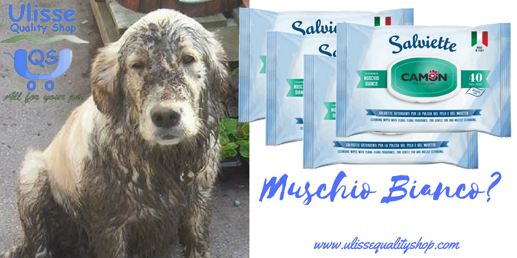 UlisseQualitySh's tweet photo. #Salviette #Detergenti al #Muschio Bianco, puliscono e profumano in ogni situazione. In offerta #Multipack per #risparmio e #convenienza. Scopri di più. https://t.co/p0LMLYeLpC
#ulissequalityshop #cani #gatti #conigli #furetti #muschiobianco https://t.co/2FMH1r00I3