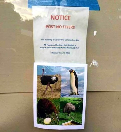 AutismAllStars's tweet image. Well, you did say &apos;Post no flyers&apos;... #autism #aspergers #literalhumor #geekhumor #nerdhumor #puns #autismallstars #autismcharity