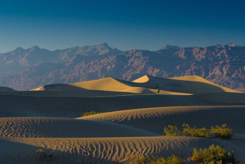 on twitter the wallpaper looks like a desert macos mojave maybe