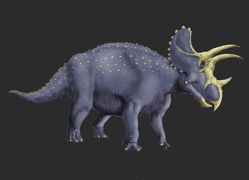 プロトケラトプス / ガレージキット (ALUCARD・protoceratops プロトケラトプス / ガレージキット (ALUCARD・protoceratops