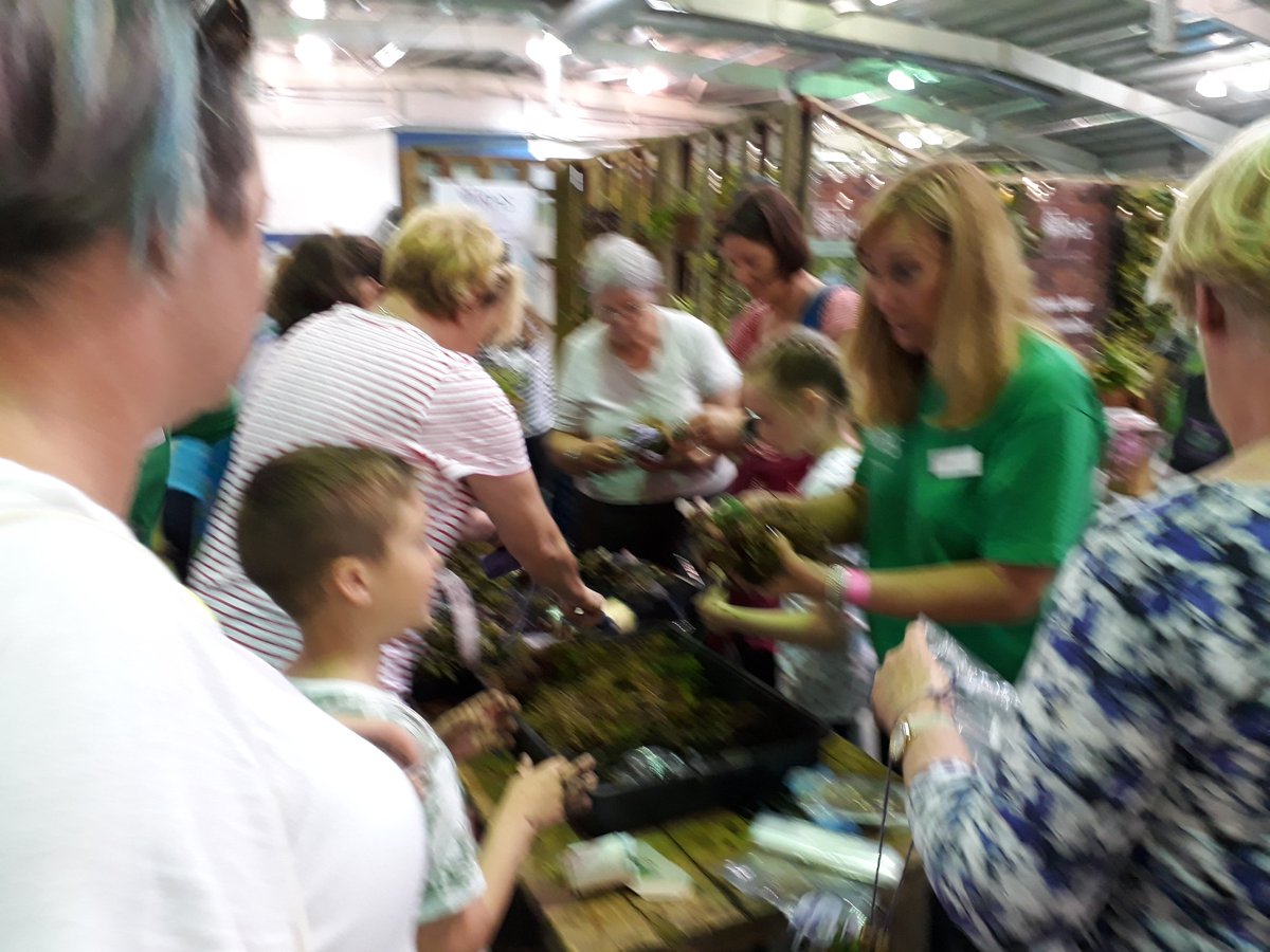 HelenFeary's tweet photo. #GardeningScotland with @The_RHS team making kokedemas https://t.co/FaNjIA4Lp5