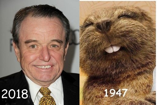 Happy Birthday to Jerry Mathers. Amazing how much he changed..   