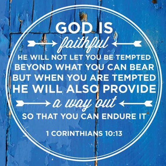 Bible Posts tweet media