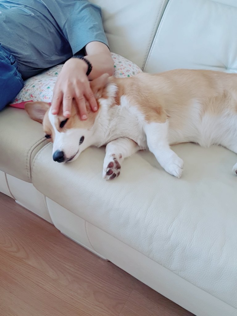 realtaehee16's tweet photo. 점점 인간 애 같 아지는 ...ㅎ https://t.co/uu4WKO0ScS