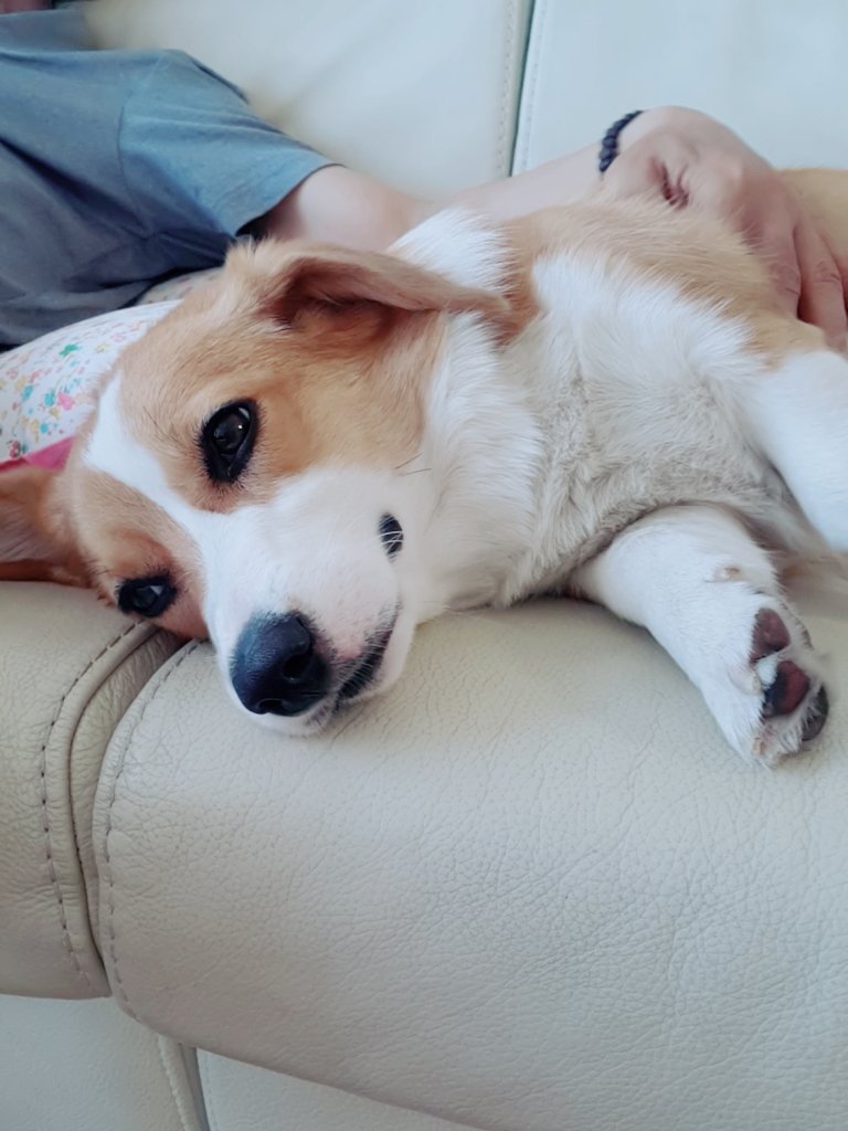 realtaehee16's tweet photo. 점점 인간 애 같 아지는 ...ㅎ https://t.co/uu4WKO0ScS