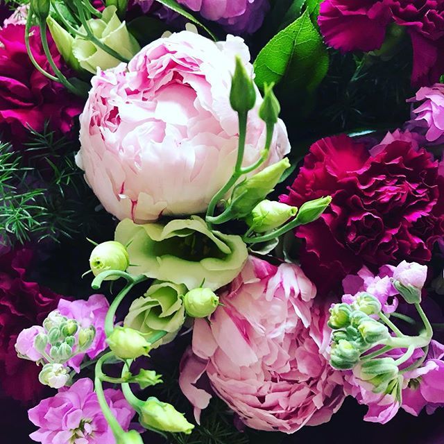 FloralElements2's tweet photo. Didn't want to let these go! ๐๐ธ#peonyseason #stocks #summerflowers #scentedblooms #freshflowers #seasonalflowers #floralelements #rochesterflorist #medwayflorist https://t.co/2E1MOBStvx https://t.co/0Xgkl7sTsx