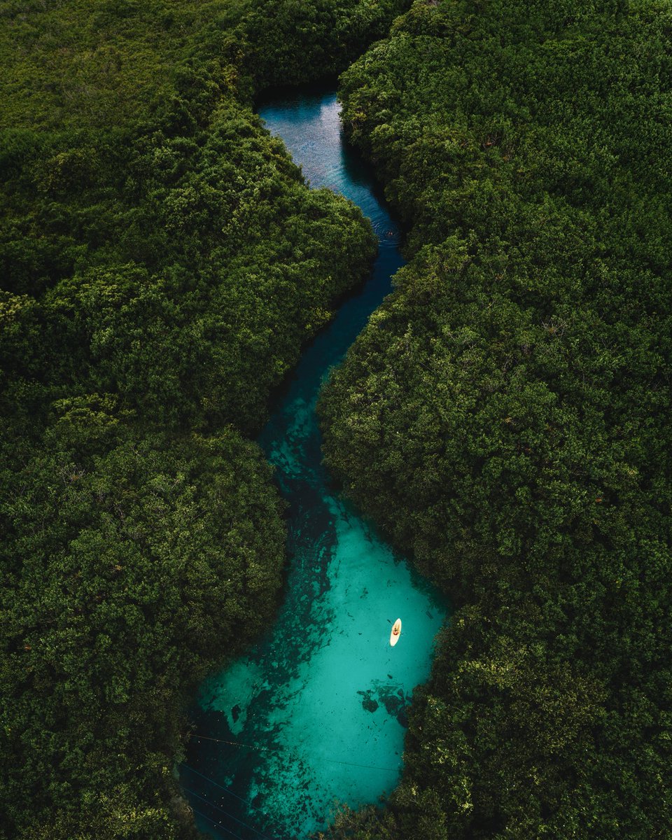 alexstrohl's tweet photo. Swimming holes of Yucatan https://t.co/vEURkO66M8