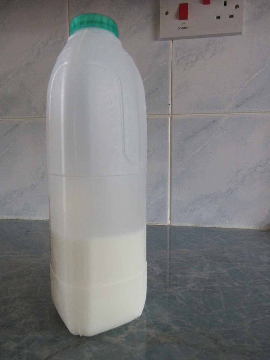 katevetpath's tweet photo. During #rabbitawarenessweek I will be tweeting about #rabbitpathology & rabbit #mammaryglandbiology! Compared to milk from cows, rabbit milk has a much higher % of fat and protein. This helps the offspring to achieve high growth rates in their first weeks of life. https://t.co/wqocr3KY2q
