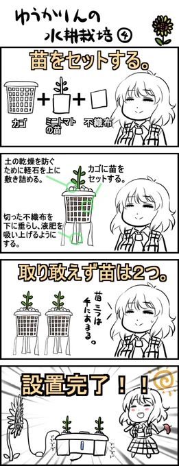 水耕栽培記録④^^
①～④までの投稿で苗を購入した
5月12日の出来事が終わりました。
(すでに21日経過) 