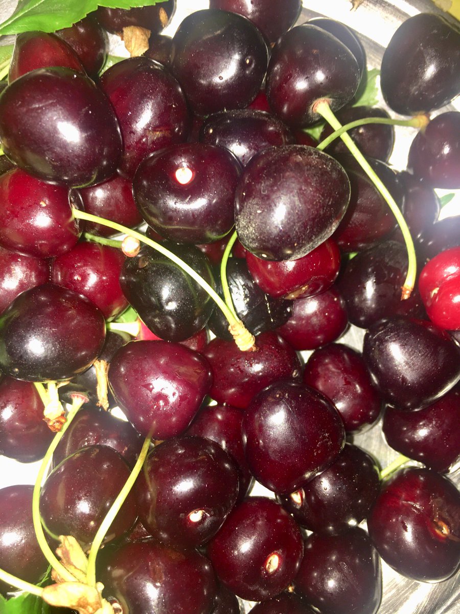 rgkureshi's tweet image. #FruitChat and 🍒

#ShareYourMeal