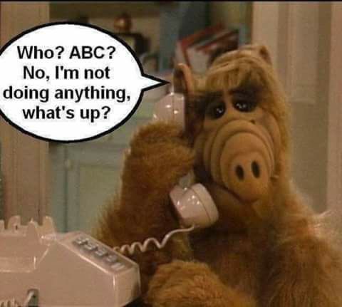 maryoliverm's tweet photo. #savealf #bringbackalf #takeroseannetimeslot @ABCNetwork https://t.co/H2oyWwVLOf