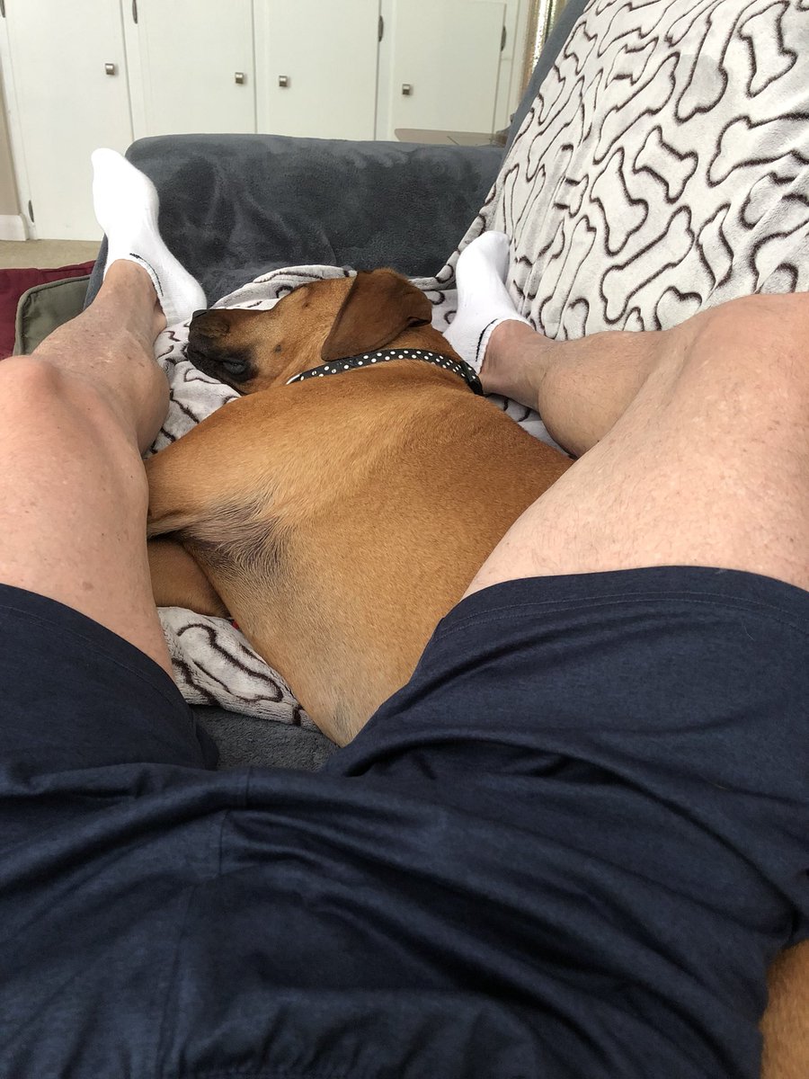 ScottsHusband's tweet photo. You sleep all over us in the bed, turnabout’s fair play! 😬#HarVee ❤️ #PrideMonth #LGBTQ https://t.co/9jmNXsj8lv