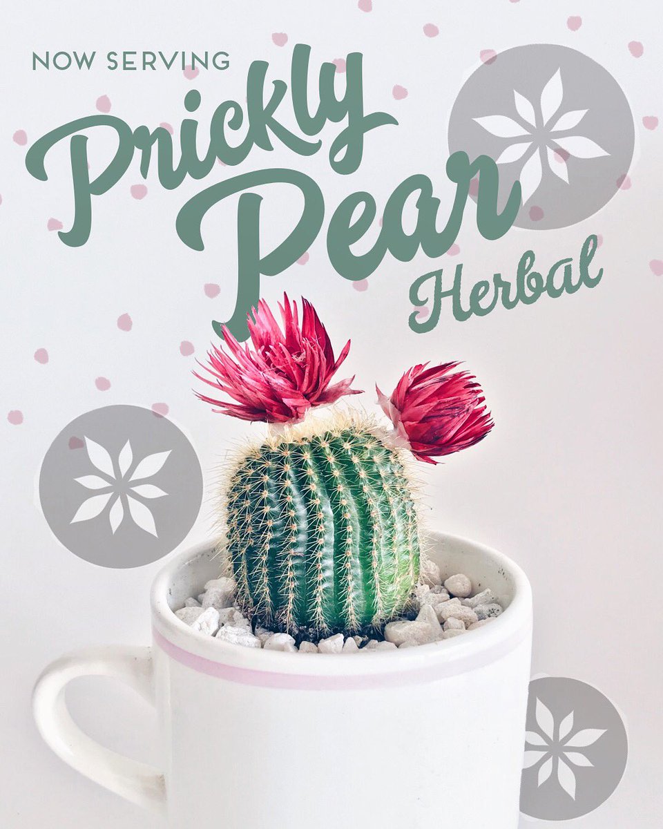 It’s gonna be a scorcher out there today &amp; we’ve got the two best cures for days like this! #Airconditioning &amp; our new Prickly Pear Herbal tea! 🌵☀️ 🌵 ☀️ 🌵 #summerishere #hostdayscooldrinks