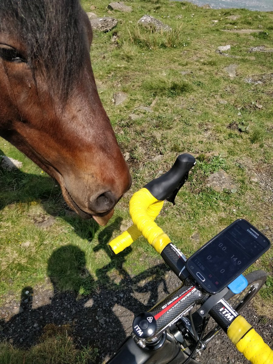 ddiibbs's tweet photo. @RibbleCycles  https://t.co/qxxAW55rF4