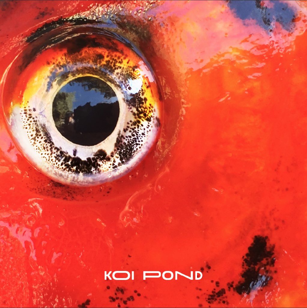 the new smash “Koi Pond” out now