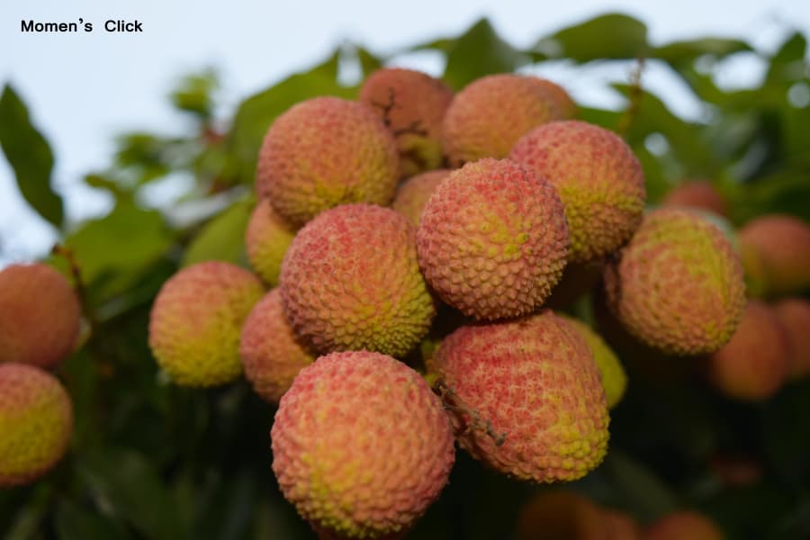 Md Shamiul alim  (@shamiulzahid) on Twitter photo 