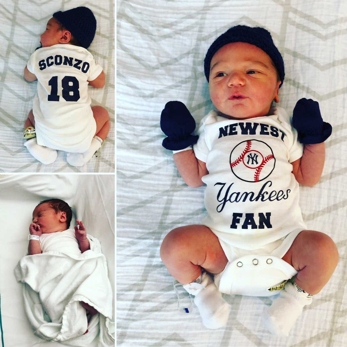 Christopher Sconzo tweet media