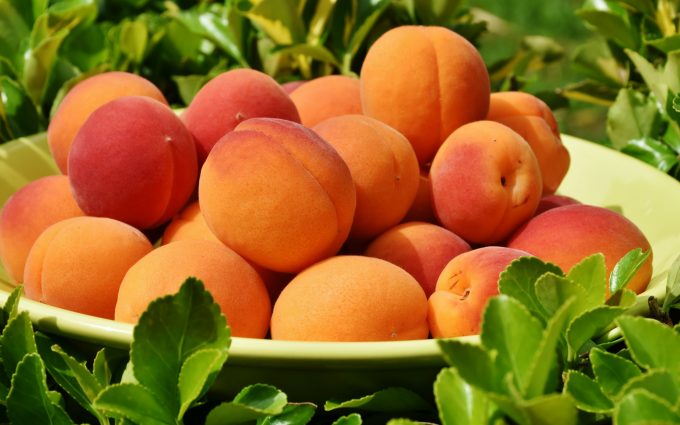 Md Shamiul alim  (@shamiulzahid) on Twitter photo 