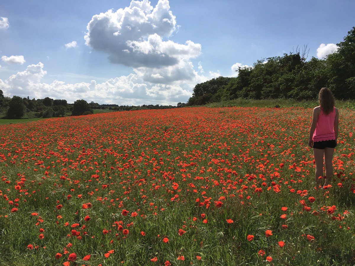 #Suffolk you are beautiful