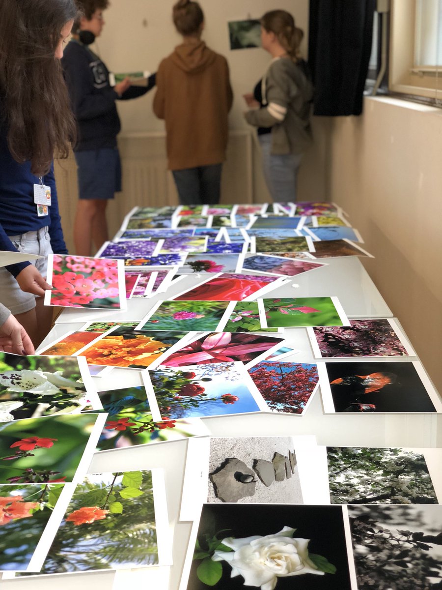 LaneTechDiamond's tweet photo. Our nature exhibit is underway! The opening is Tuesday, June 5th. The art that Lane Tech students created in Iceland and the Chicago Botanic Gardens will be on display in our gallery! @LaneTech1440 @ChiPubSchools @CPS_Arts https://t.co/pZHT85jk27